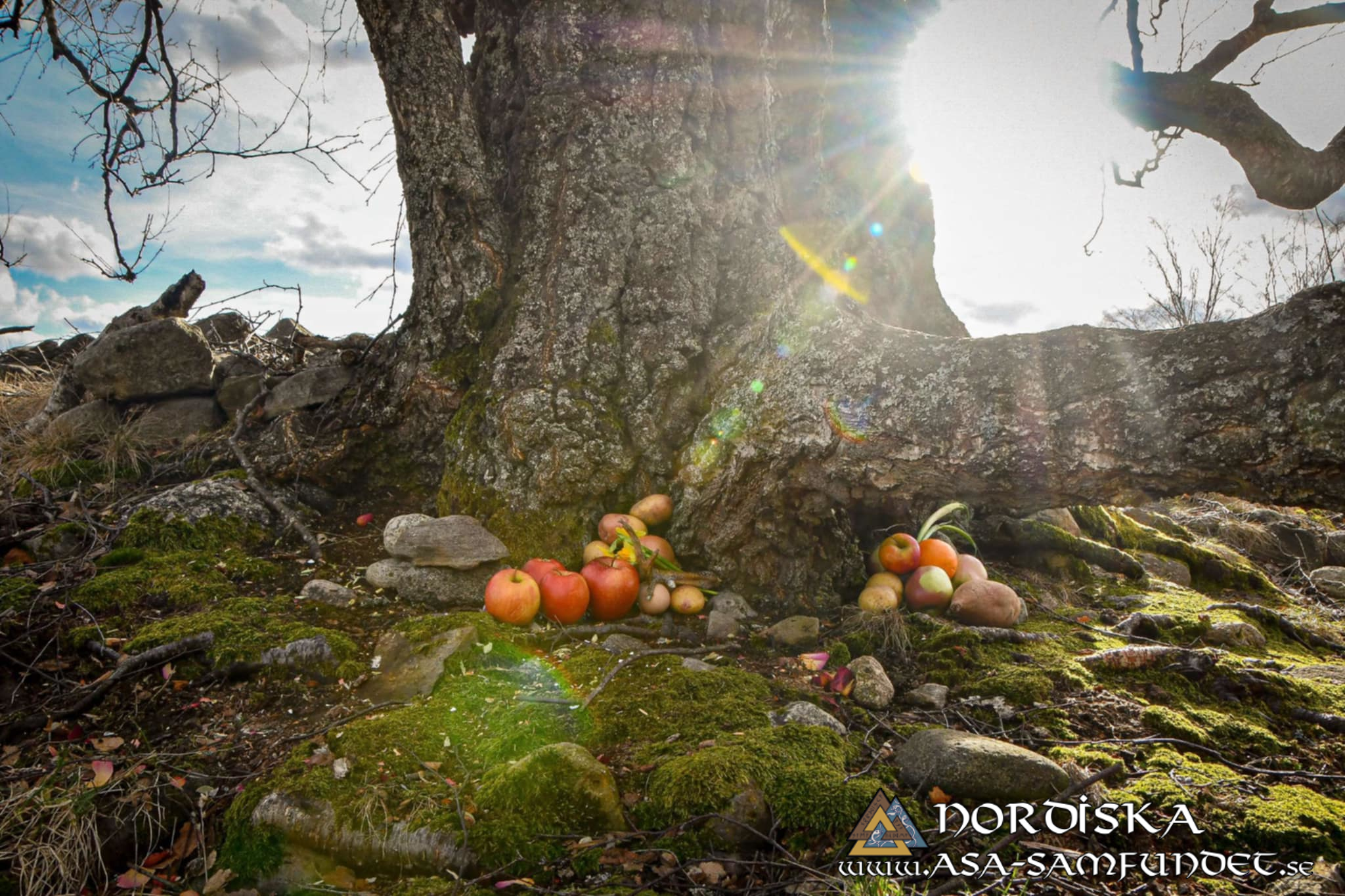 Utförda Blot 2025: Blotlag Idavallen höll Disablot 15 Mars 2025