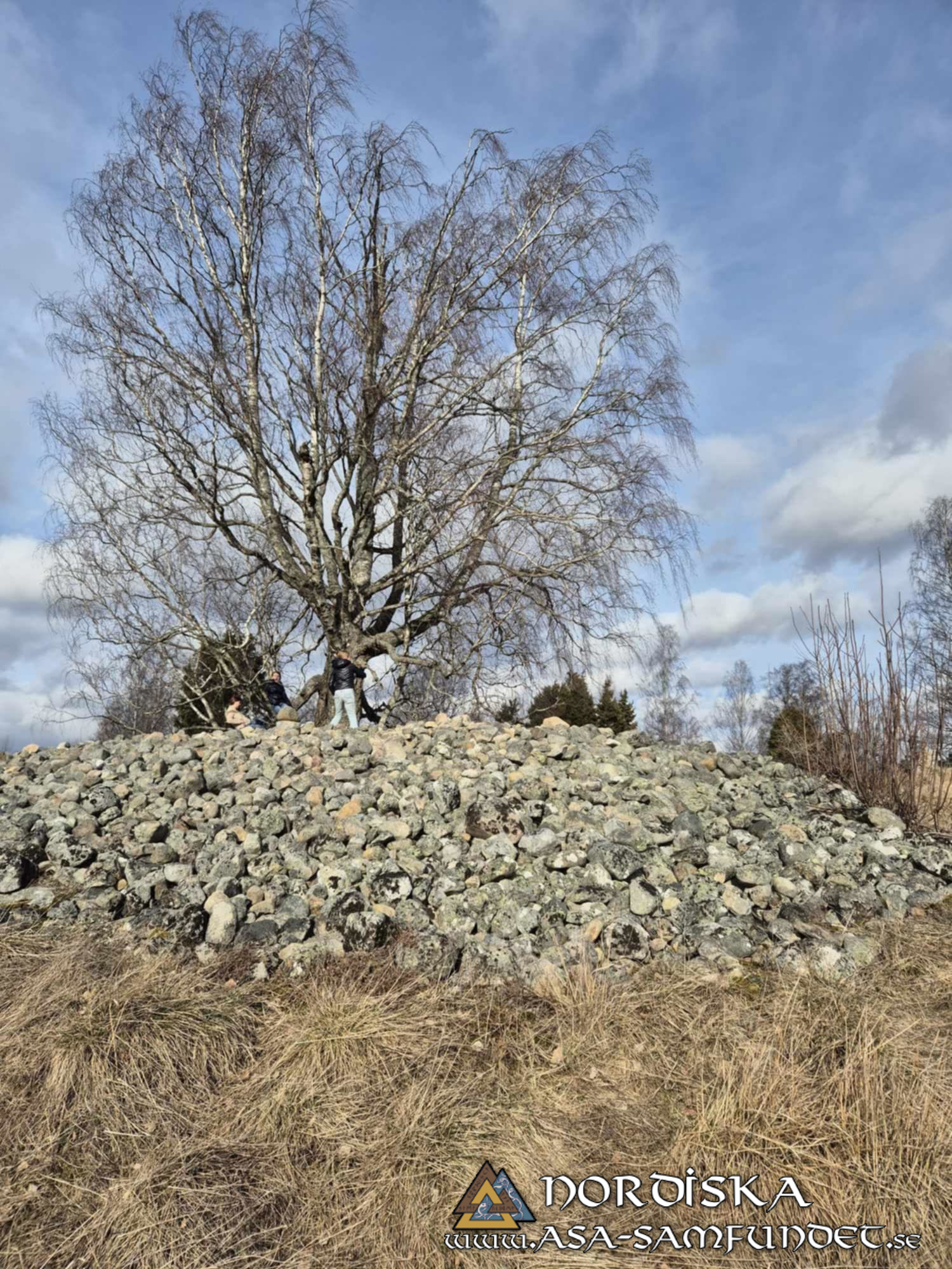 Utförda Blot 2025: Blotlag Idavallen höll Disablot 15 Mars 2025