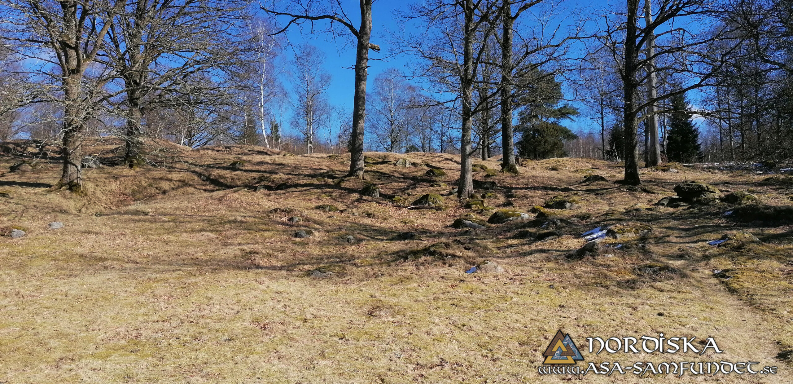 Utförda Blot 2025: Blotlagen Yggdrasil och Sleipner höll ett gemensamt Disablot 15 Mars 2025