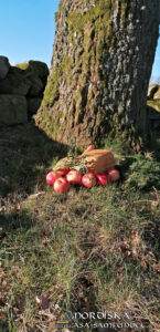 Utförda Blot 2025: Blotlagen Yggdrasil och Sleipner höll ett gemensamt Disablot 15 Mars 2025