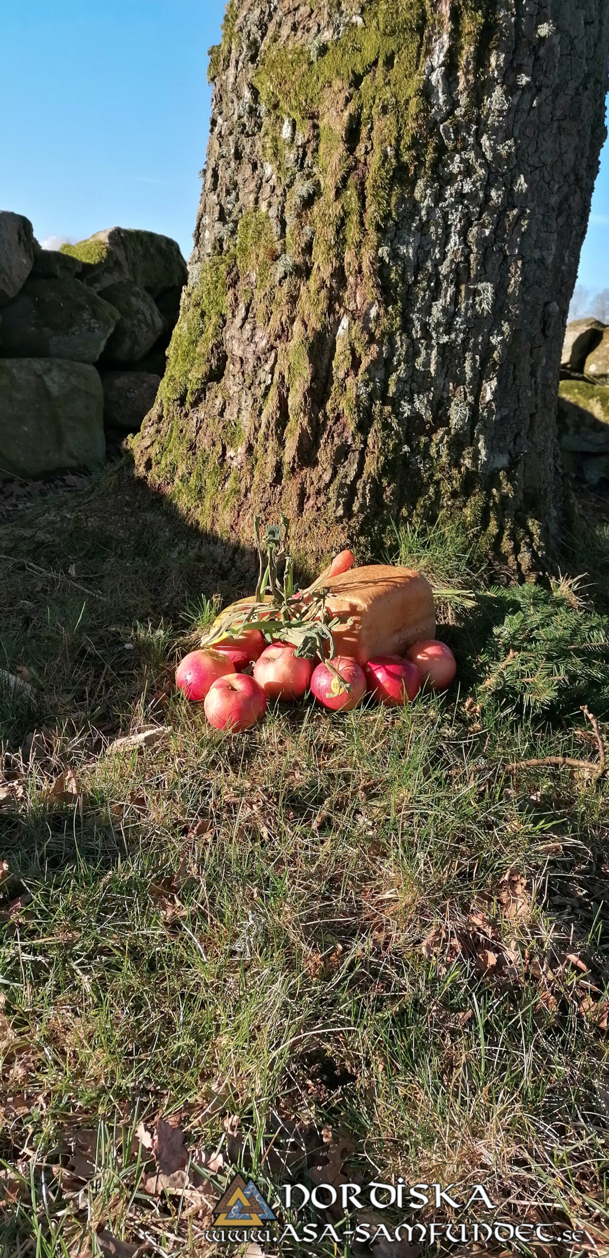 Utförda Blot 2025: Blotlagen Yggdrasil och Sleipner höll ett gemensamt Disablot 15 Mars 2025