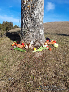 Utförda Blot 2025: Blotlag Ymer höll Disablot 8 Mars 2025