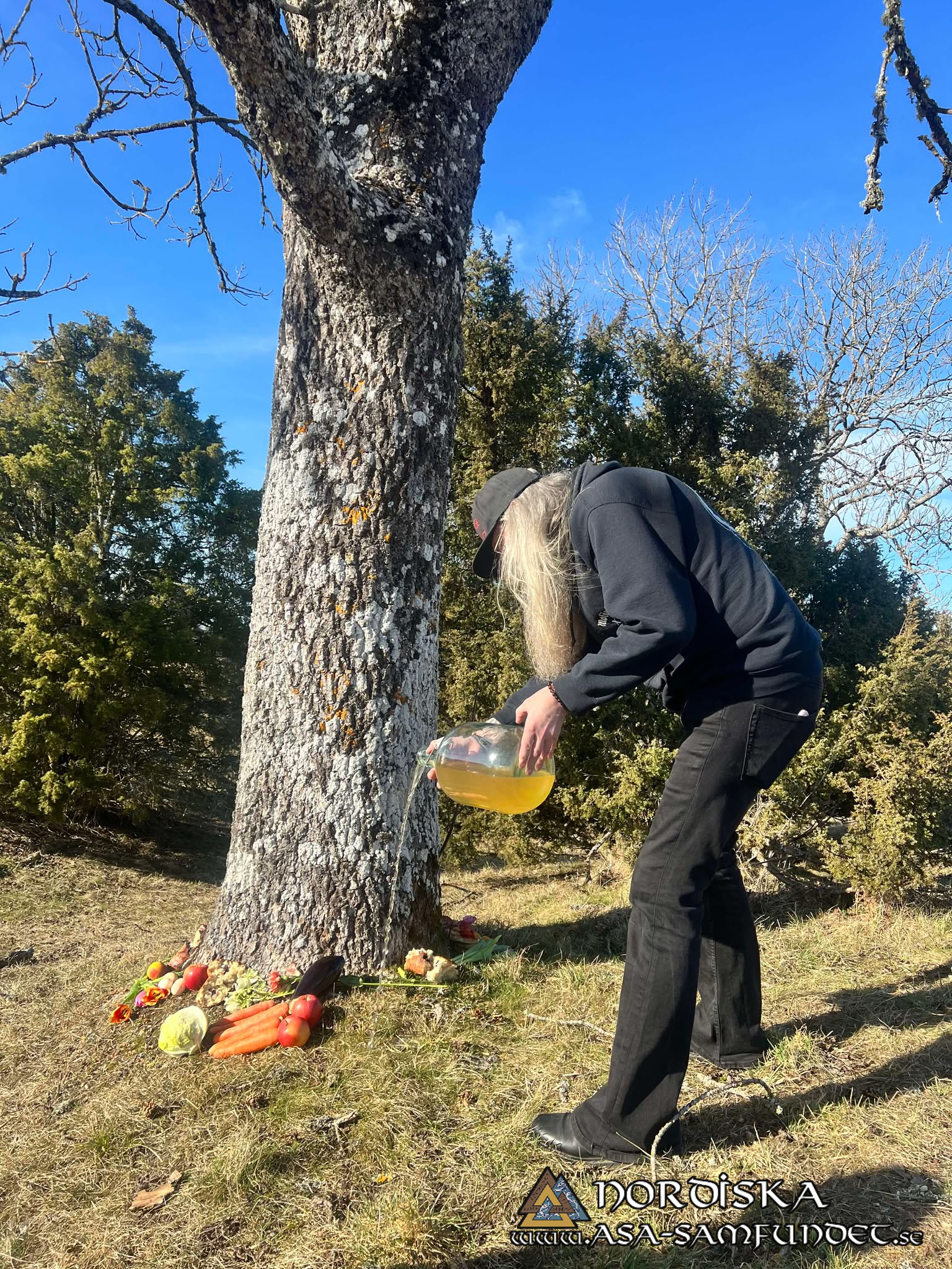 Utförda Blot 2025: Blotlag Ymer höll Disablot 8 Mars 2025