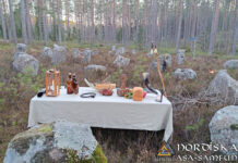 Blóts performed 2025: Blót Kindred Draupnir held Disablót on March 22, 2025 Utförda Blot 2025: Blotlag Draupnir höll Disablot 22 Mars 2025