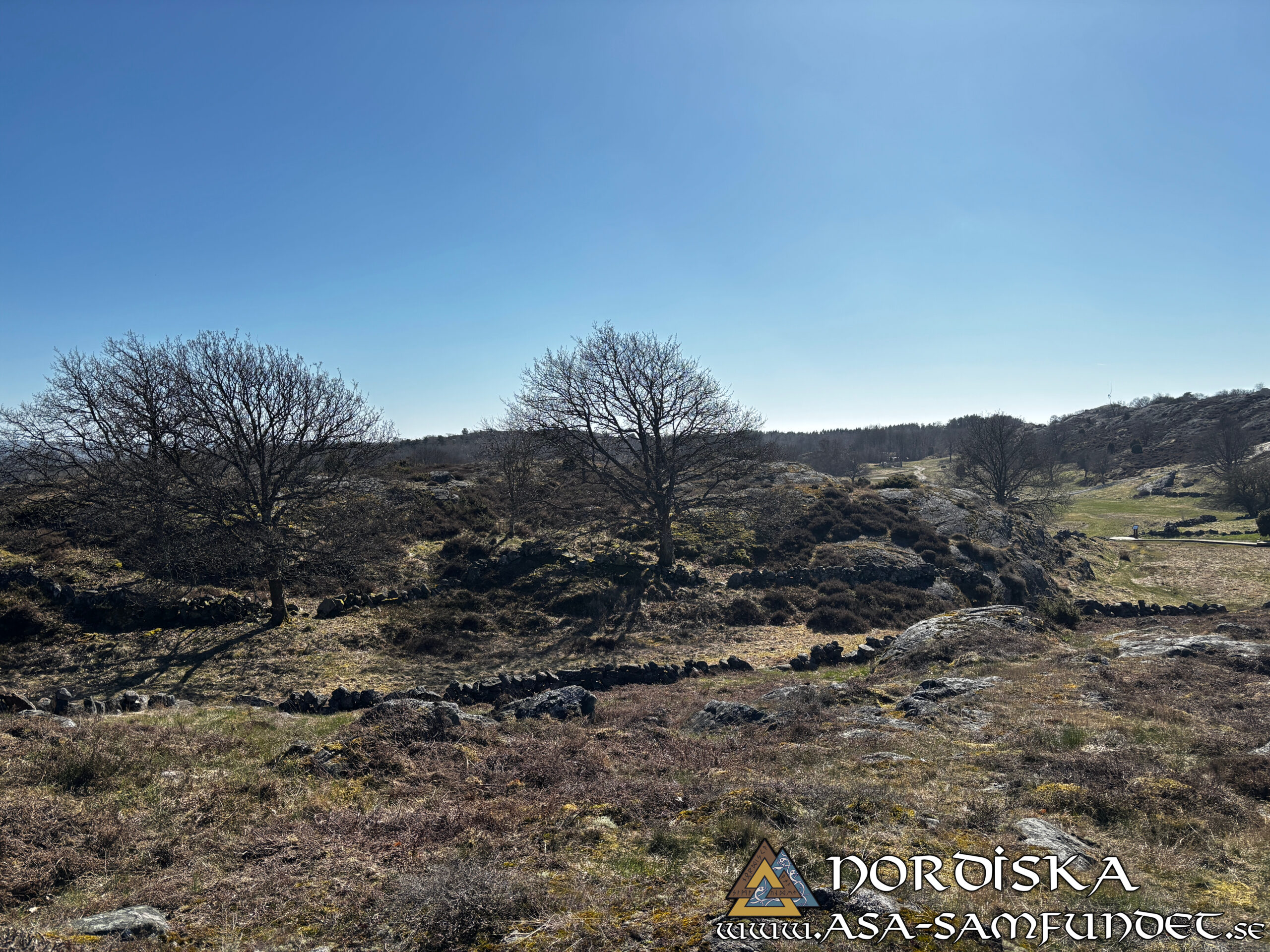 Utförda Blot 2025: Blotlag Gungnir höll Segerblot 12 April 2025