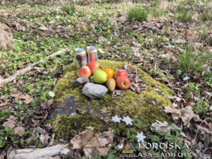 Utförda Blot 2025: Blotlag Sleipner höll Segerblot 13 April 2025