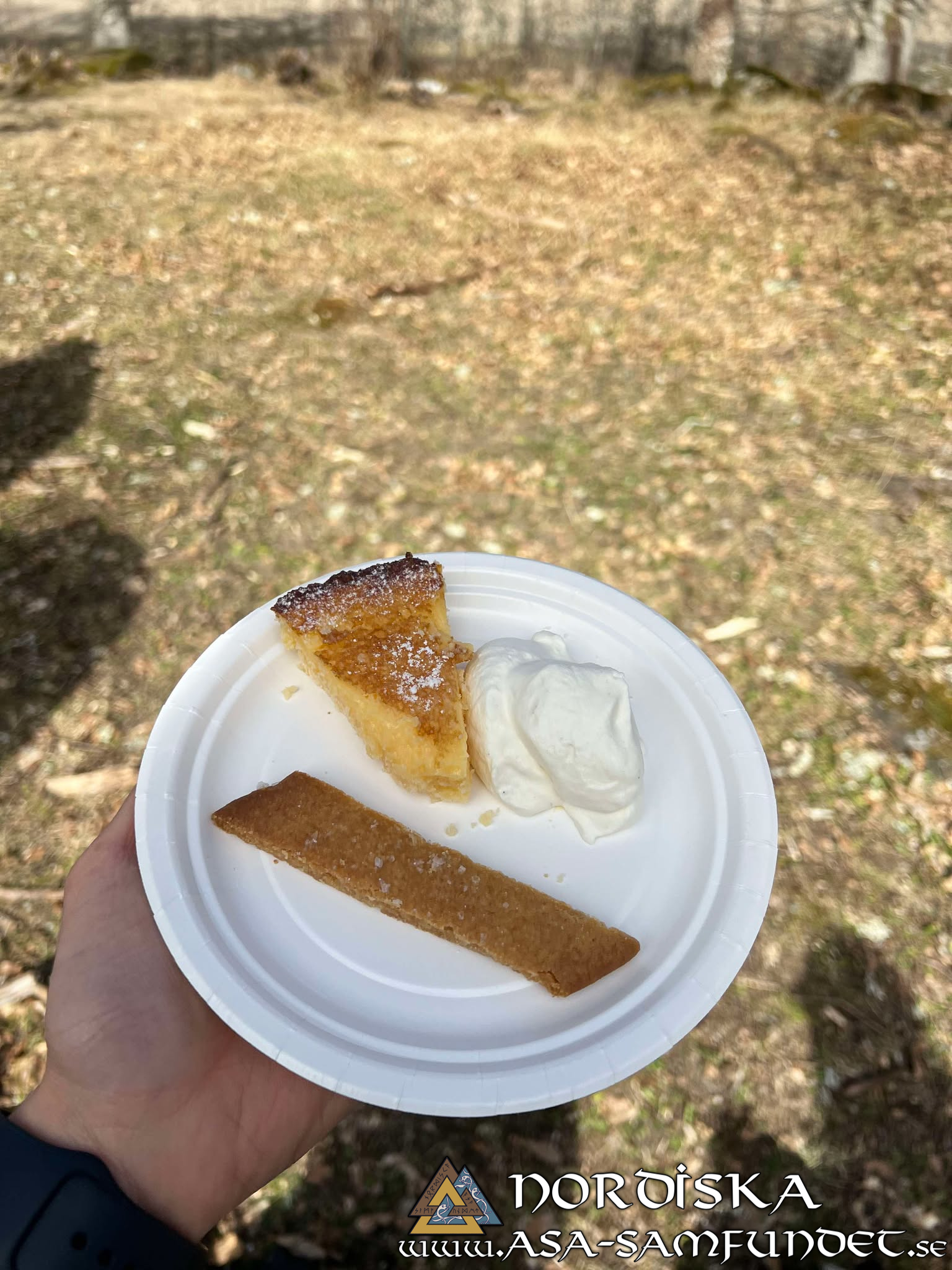 Utförda Blot 2025: Blotlag Ymer höll Segerblot 12 April 2025