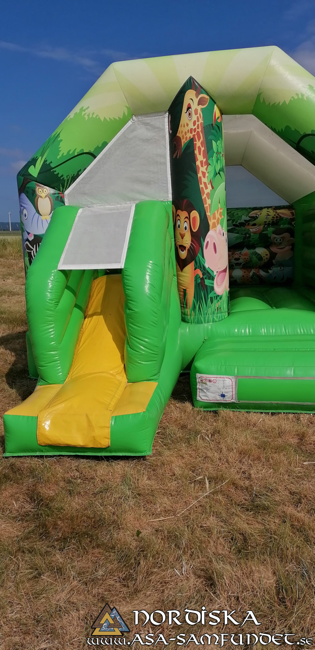 Tack för Sommarblot 2025 – En samling av kraft, tro och gemenskap