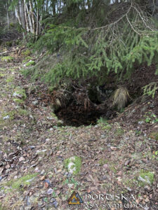 Utförda Blot 2025: Blotlaget Draupnir höll Alvablot 8 November 2025