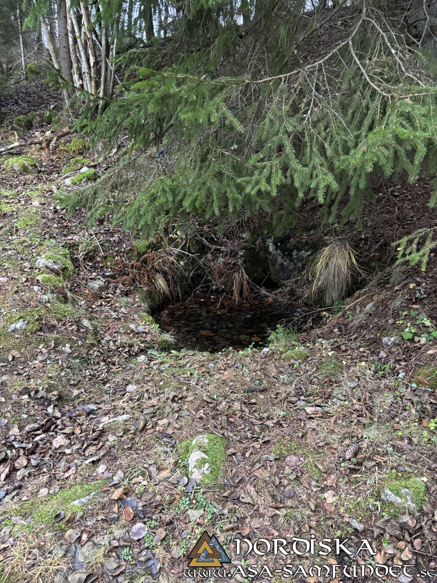 Utförda Blot 2025: Blotlaget Draupnir höll Alvablot 8 November 2025