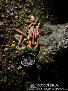 Utförda Blot 2025: Blotlaget Draupnir höll Alvablot 8 November 2025