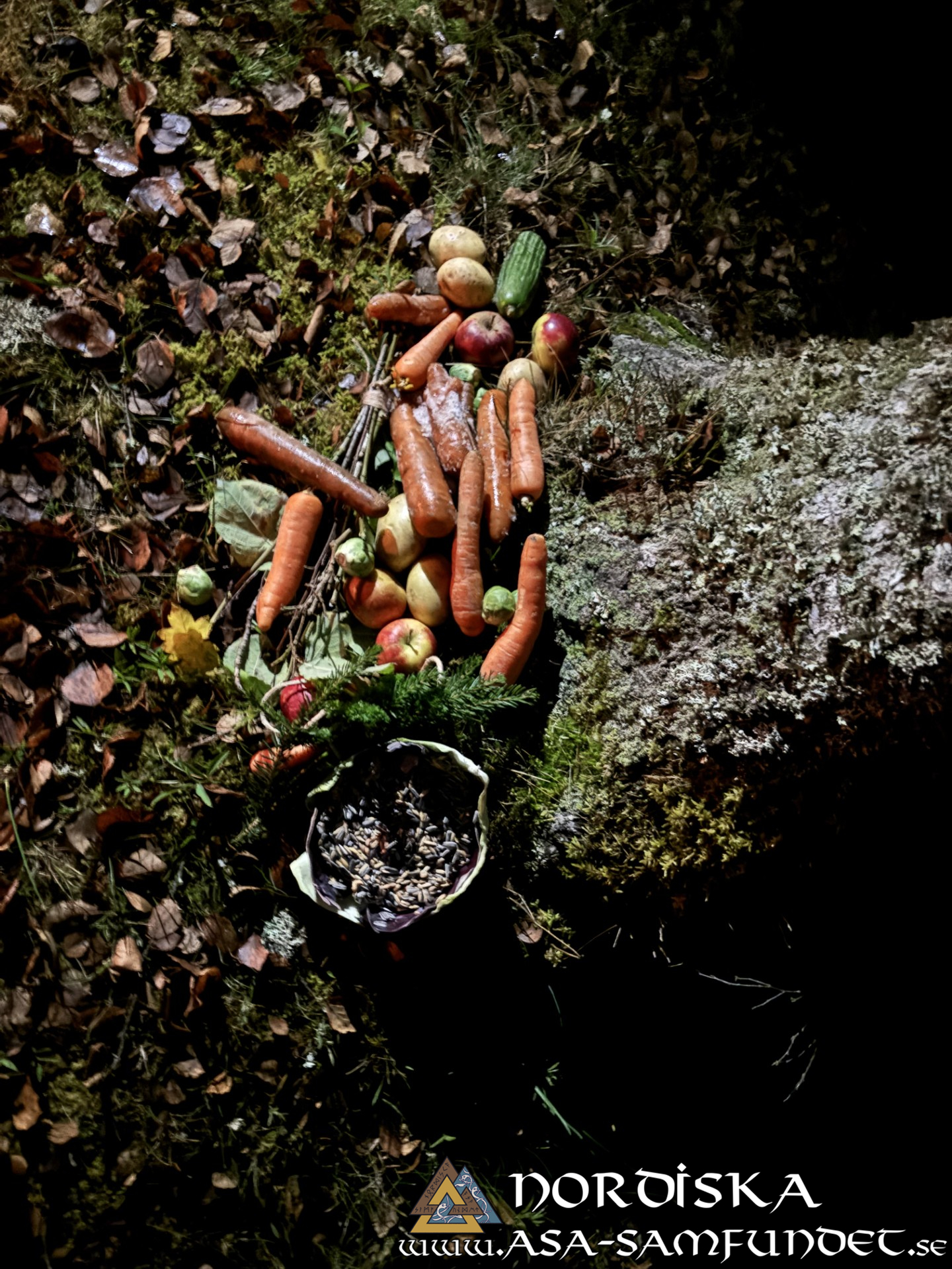 Utförda Blot 2025: Blotlaget Draupnir höll Alvablot 8 November 2025