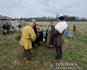 Utförda Blot 2025: Blotlaget Gungnir höll Alvablot 8 November 2025