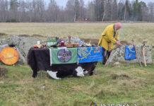 Blóts performed 2025: Blót Kindred Gungnir held Álfablót on November 8, 2025 Blóts performed 2025: Blót Kindred Gungnir held Álfablót on November 8, 2025