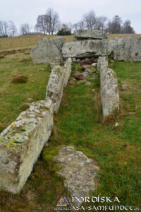 Utförda Blot 2025: Blotlaget Gungnir höll Alvablot 8 November 2025