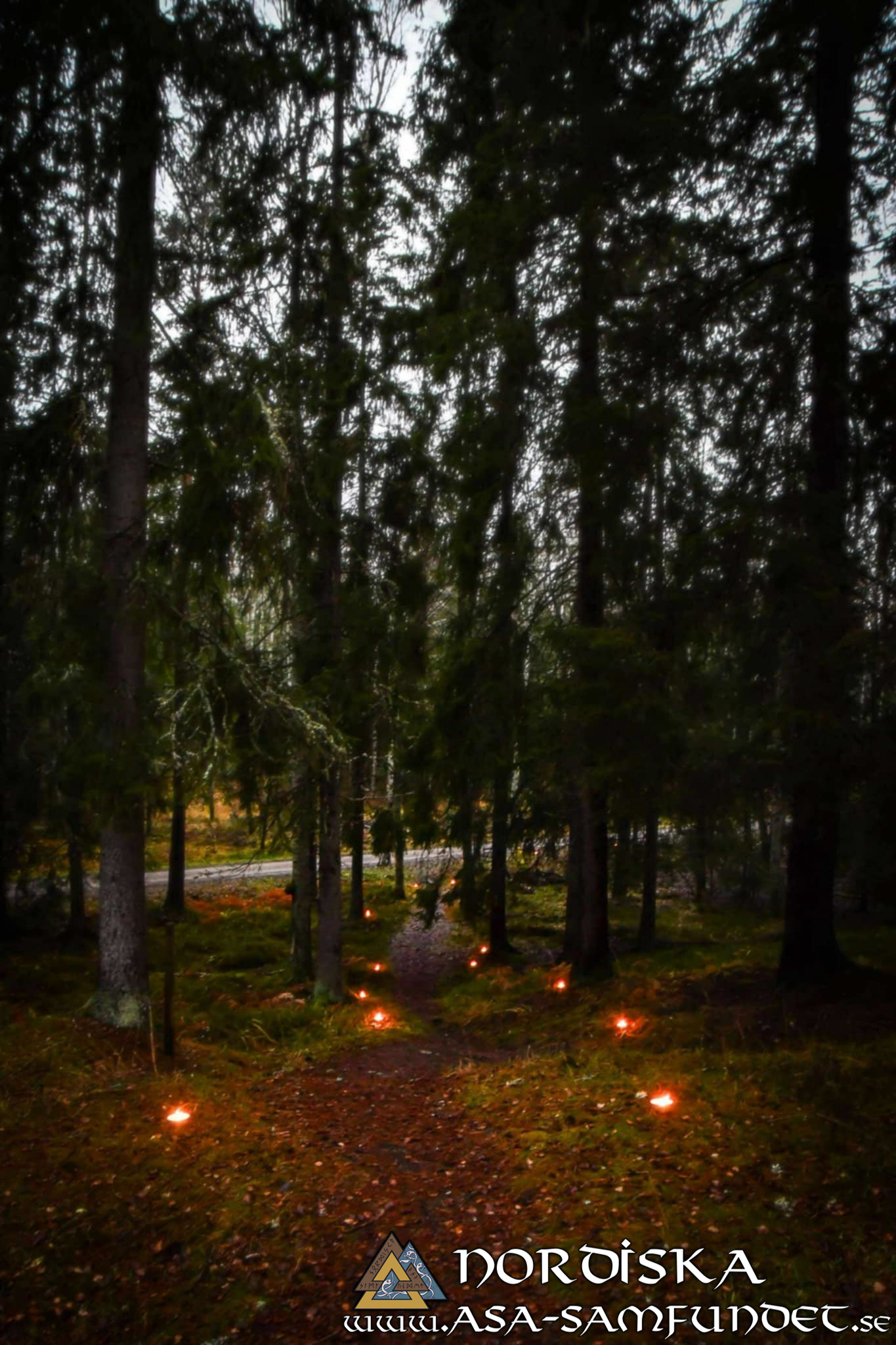 Utförda Blot 2025: Blotlaget Idavallen höll Alvablot 8 November 2025