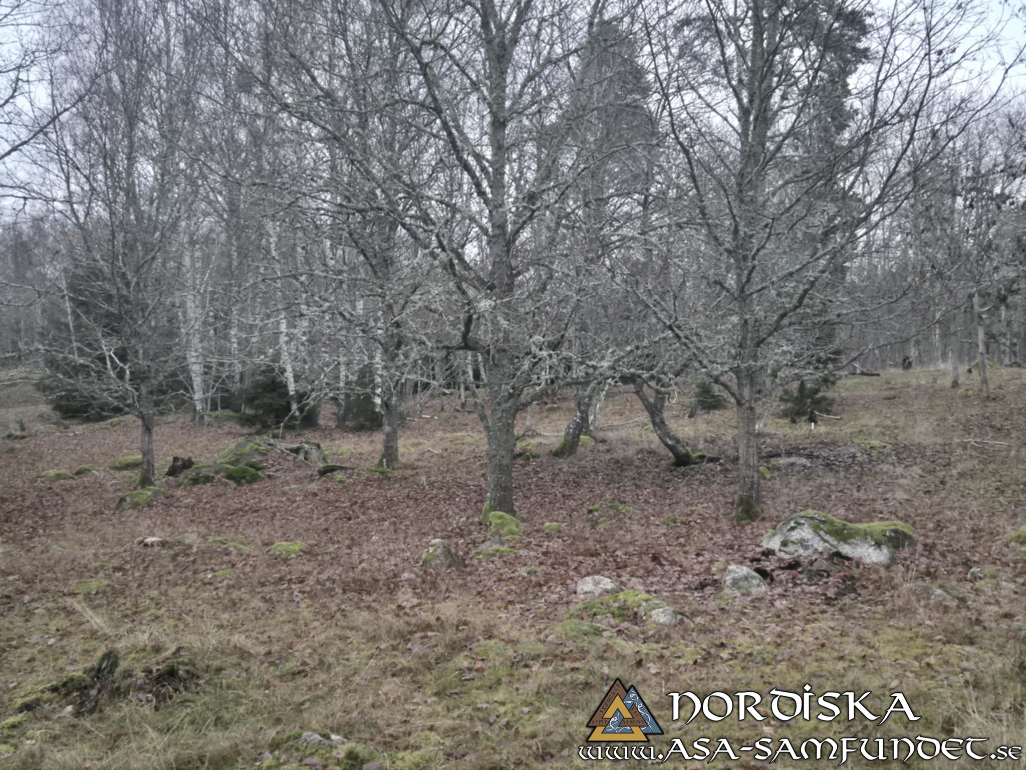 Utförda Blot 2025: Blotlaget Sleipner höll Alvablot 8 November 2025