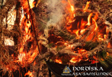 Annual Rites Introduced in the Nordic Asa-community – New Rites for Solstices and Equinoxes