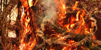 Annual Rites Introduced in the Nordic Asa-community – New Rites for Solstices and Equinoxes Annual Rites Introduced in the Nordic Asa-community – New Rites for Solstices and Equinoxes