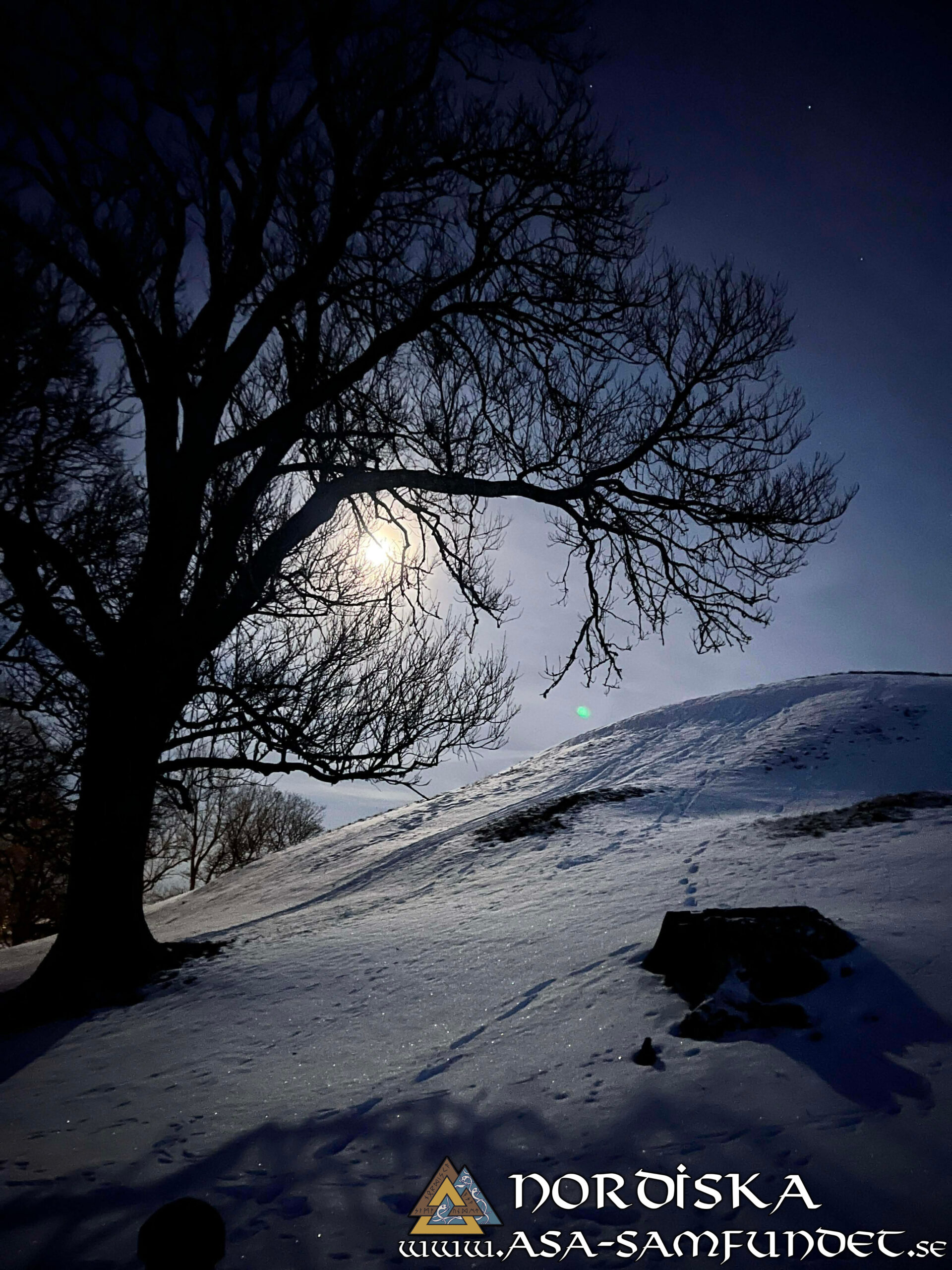 Utförda Blot 2026: Blotlaget Ymer höll Midvinterblot 31 Januari